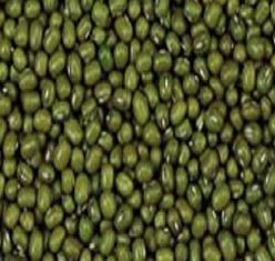 海亮糧食加盟招商 開啟重慶食品行業新藍海
